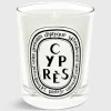 Classic Scented Candle^Diptyque Fashion