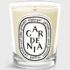 Classic Scented Candle^Diptyque Cheap