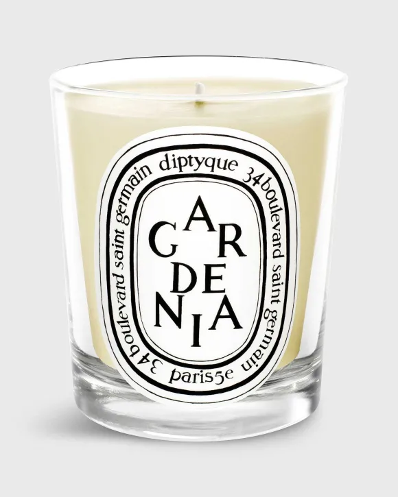Classic Scented Candle^Diptyque Cheap