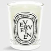 Classic Scented Candle^Diptyque Outlet