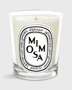 Classic Scented Candle^Diptyque Best Sale