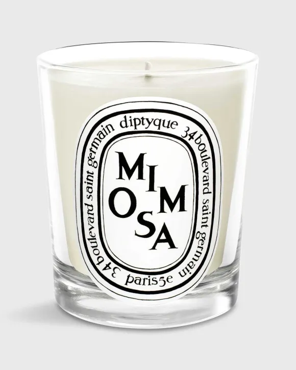 Classic Scented Candle^Diptyque Best Sale