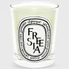 Classic Scented Candle^Diptyque Fashion