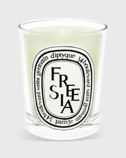 Classic Scented Candle^Diptyque Fashion