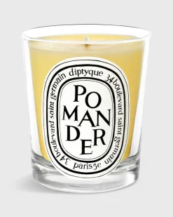 Classic Scented Candle^Diptyque Hot