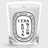 Classic Scented Candle^Diptyque Hot