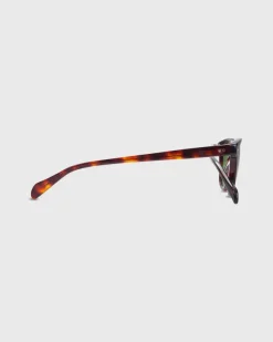 Legend Sunglasses^Allyn Scura Best