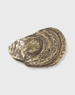 Oyster Shell Belt Buckle^Mashburn Best