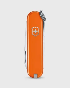 Swiss Army Knife^Victorinox Discount
