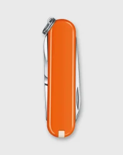 Swiss Army Knife^Victorinox Hot