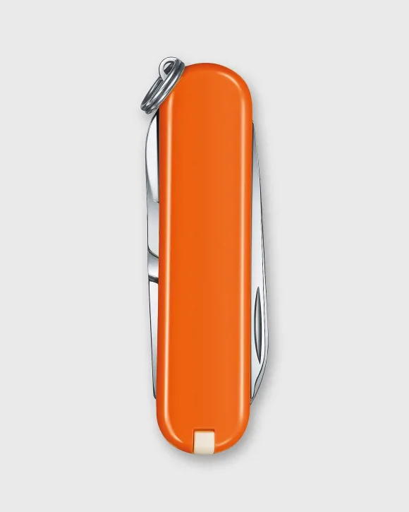 Swiss Army Knife^Victorinox Hot