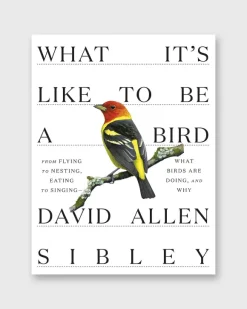 What It's Like To Be A Bird^Penguin Random House Store