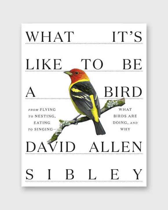 What It's Like To Be A Bird^Penguin Random House Flash Sale